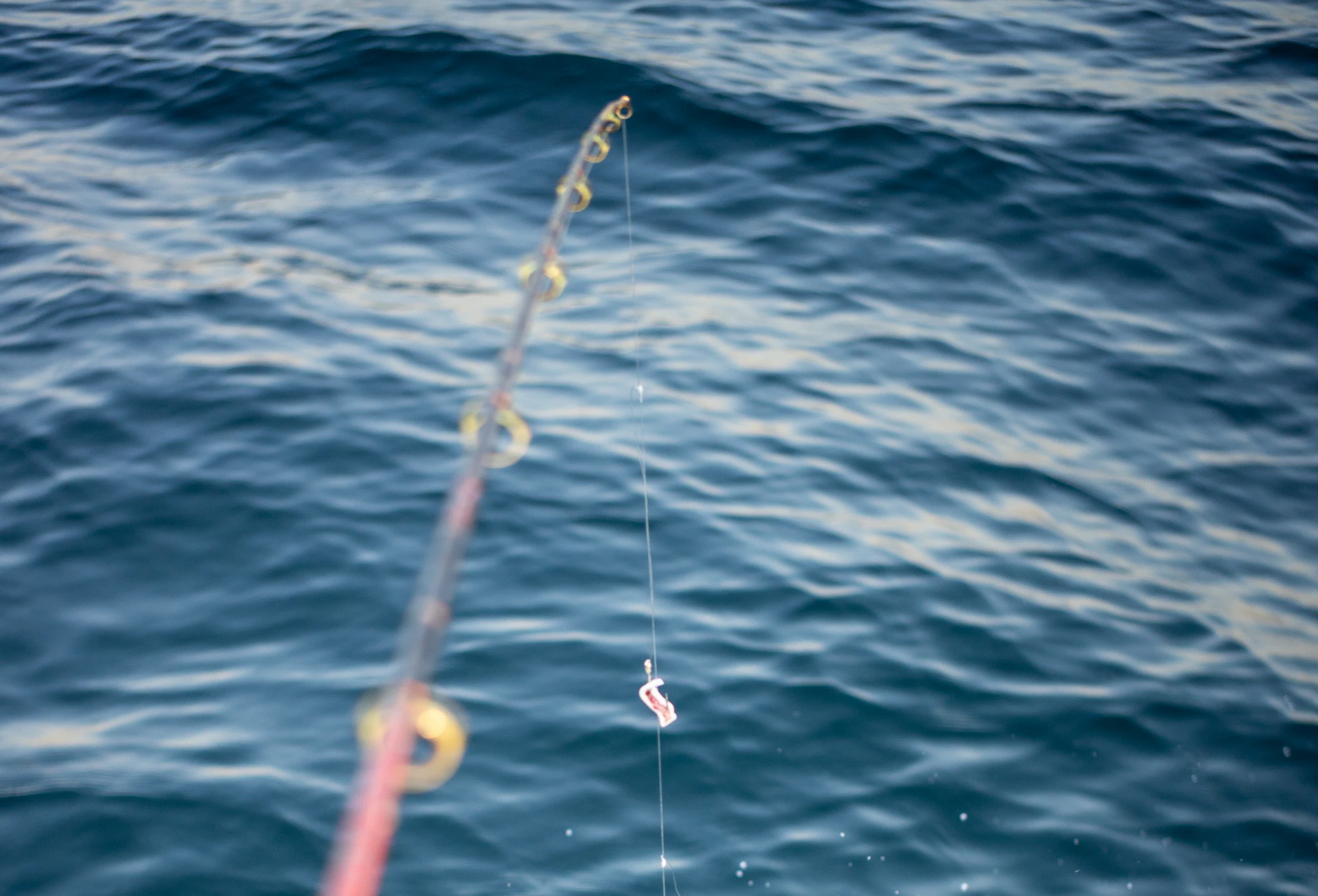 A baited fishing line dropping from a rod into open blue water